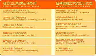 聚焦外貿(mào)服務(wù)一體化 專業(yè)代理報(bào)關(guān)與商貿(mào)對(duì)接新路徑